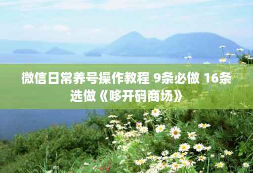 微信日常养号操作教程 9条必做 16条选做《哆开码商场》