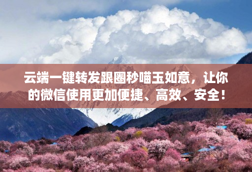 云端一键转发跟圈秒喵玉如意，让你的微信使用更加便捷、高效、安全！