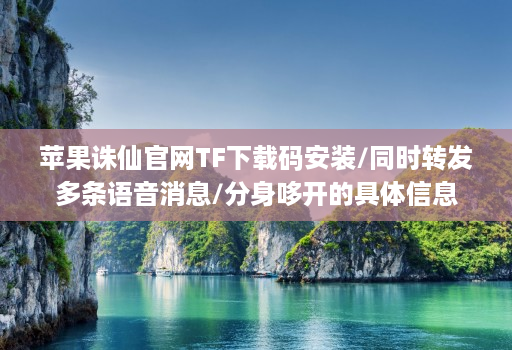 苹果诛仙官网TF下载码安装/同时转发多条语音消息/分身哆开的具体信息