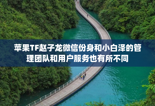 苹果TF赵子龙微信份身和小白泽的管理团队和用户服务也有所不同