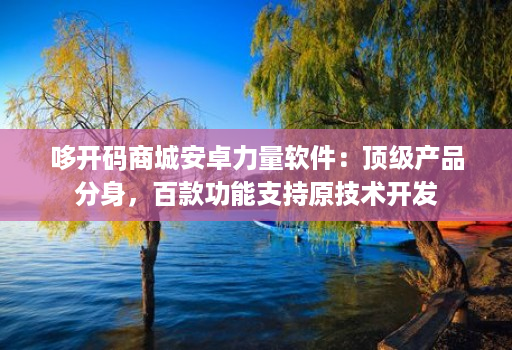 哆开码商城安卓力量软件：顶级产品分身，百款功能支持原技术开发