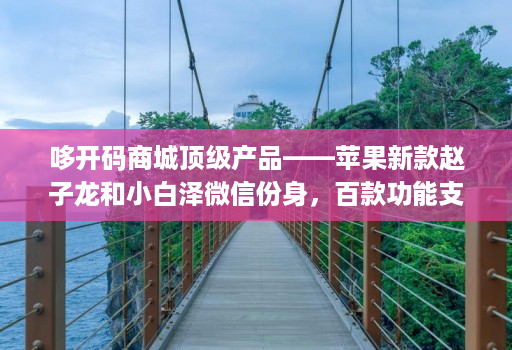 哆开码商城顶级产品——苹果新款赵子龙和小白泽微信份身，百款功能支持原技术开发