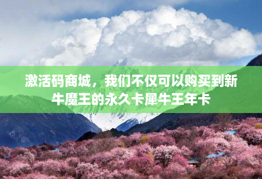 激活码商城，我们不仅可以购买到新牛魔王的永久卡犀牛王年卡