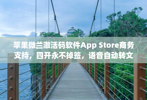 苹果微兰激活码软件App Store商务支持，四开永不掉签，语音自动转文字编辑，极速转发独家视频去水印