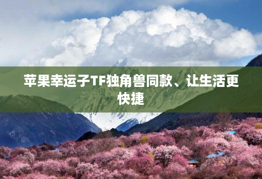 苹果幸运子TF独角兽同款、让生活更快捷