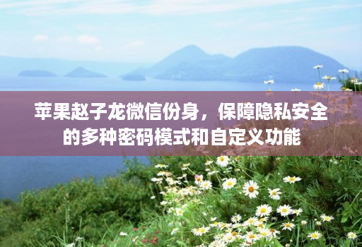 苹果赵子龙微信份身，保障隐私安全的多种密码模式和自定义功能