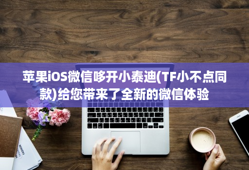 <strong>苹果</strong>iOS微信哆开小泰迪(TF小不点同款)给您带来了全新的微信体验