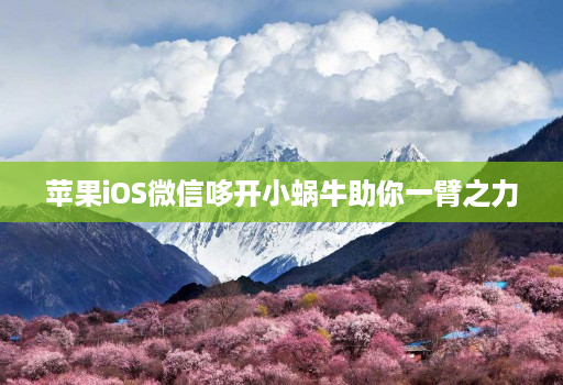 苹果iOS微信哆开小蜗牛助你一臂之力