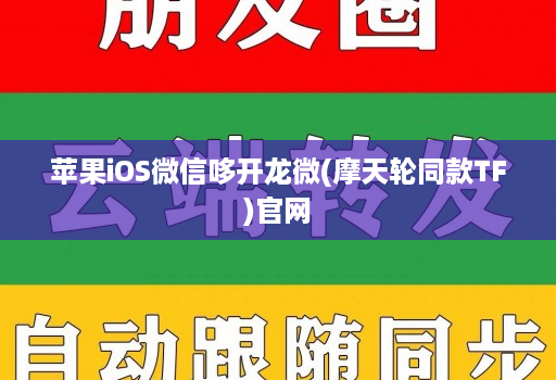 苹果iOS微信哆开龙微(摩天轮同款TF)官网