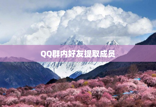 QQ群内好友提取成员