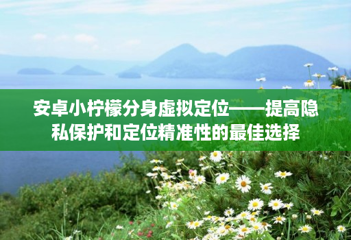 <strong>安卓</strong>小柠檬分身虚拟定位——提高隐私保护和定位精准性的最佳选择