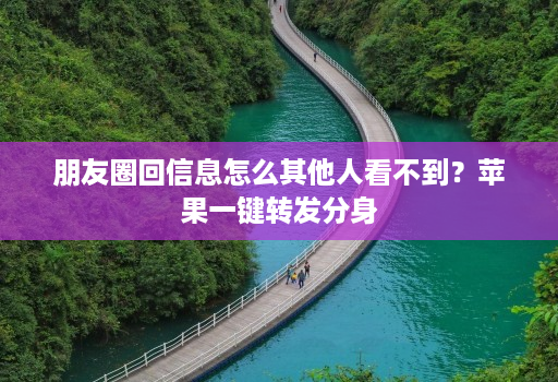 朋友圈回信息怎么其他人看不到？苹果一键转发分身