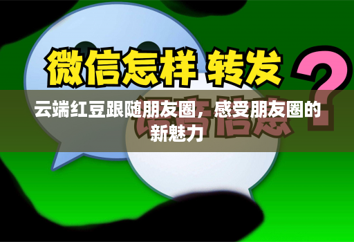 云端红豆跟随朋友圈，感受朋友圈的新魅力