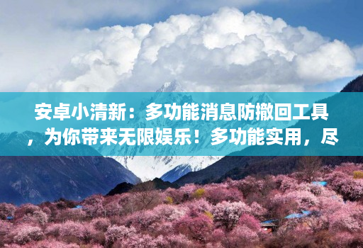 安卓小清新：多功能消息防撤回工具，为你带来无限娱乐！多功能实用，尽享娱乐