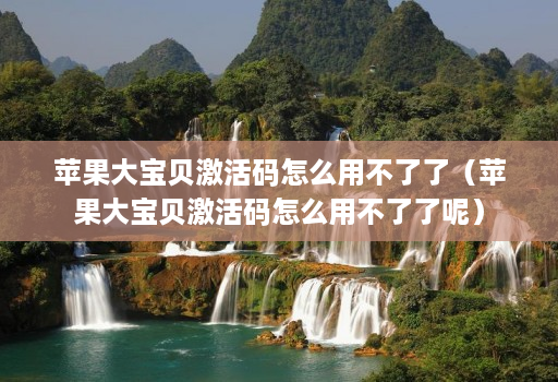 苹果大宝贝激活码怎么用不了了（苹果大宝贝激活码怎么用不了了呢）