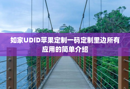 如家UDID<strong>苹果</strong>定制一码定制里边所有应用的简单介绍