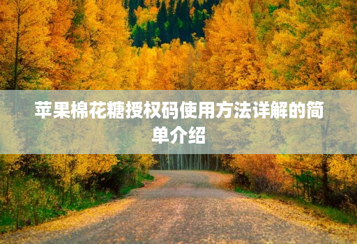 <strong>苹果</strong>棉花糖授权码使用方法详解的简单介绍