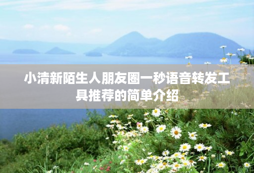 小清新陌生人朋友圈一秒语音转发工具推荐的简单介绍