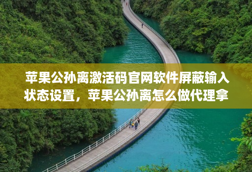  苹果公孙离激活码官网软件屏蔽输入状态设置，苹果公孙离怎么做代理拿货