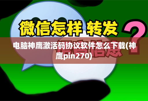 电脑神鹰激活码协议软件怎么下载(神鹰pin270)