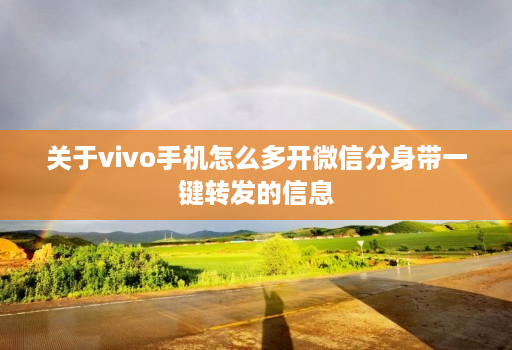 关于vivo手机怎么多开微信分身带一键转发的信息