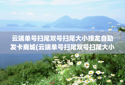 云端单号扫尾双号扫尾大小接龙自助发卡商城(云端单号扫尾双号扫尾大小接龙自助发卡商城)