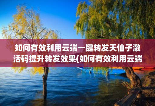 如何有效利用云端一键转发天仙子激活码提升转发效果(如何有效利用云端一键转发天仙子激活码提升转发效果)