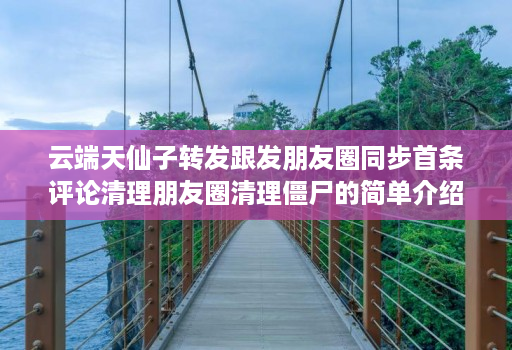 云端天仙子转发跟发朋友圈同步首条评论清理朋友圈清理僵尸的简单介绍