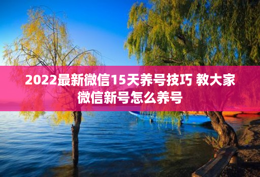 2022最新微信15天养号技巧 教大家微信新号怎么养号