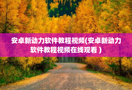 安卓新动力软件教程视频(安卓新动力软件教程视频在线观看 )