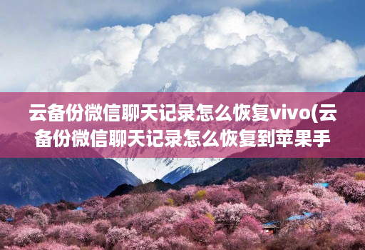 云备份微信聊天记录怎么恢复vivo(云备份微信聊天记录怎么恢复到<strong>苹果</strong>手机 )