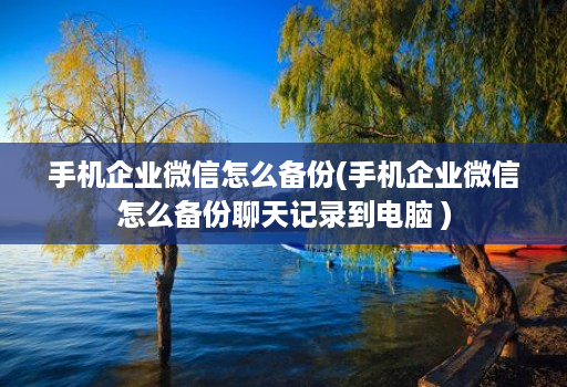 手机企业微信怎么备份(手机企业微信怎么备份聊天记录到<strong>电脑</strong> )