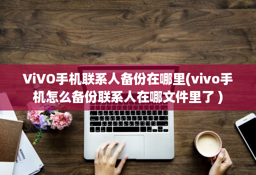 ViVO手机联系人备份在哪里(vivo手机怎么备份联系人在哪文件里了 )