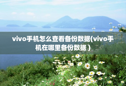 vivo手机怎么查看备份数据(vivo手机在哪里备份数据 )