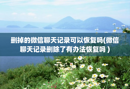 删掉的微信聊天记录可以恢复吗(微信聊天记录删除了有办法恢复吗 )