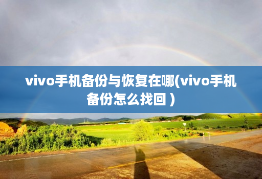 vivo手机备份与恢复在哪(vivo手机备份怎么找回 )