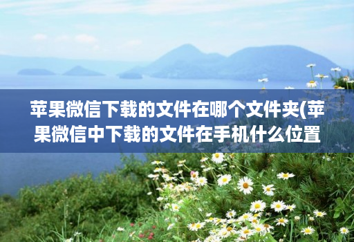 苹果微信下载的文件在哪个文件夹(苹果微信中下载的文件在手机什么位置 )