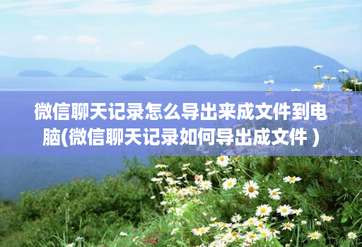 微信聊天记录怎么导出来成文件到电脑(微信聊天记录如何导出成文件 )