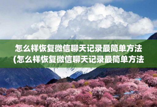 怎么样恢复微信聊天记录最简单方法(怎么样恢复微信聊天记录最简单方法<strong>苹果</strong>手机 )