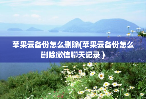 苹果云备份怎么删除(苹果云备份怎么删除微信聊天记录 )