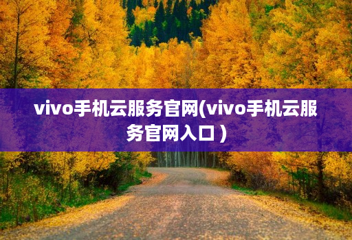 vivo手机云服务官网(vivo手机云服务官网入口 )