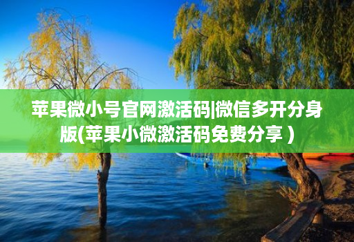 苹果微小号官网激活码|微信多开分身版(苹果小微激活码免费分享 )