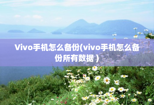 Vivo手机怎么备份(vivo手机怎么备份所有数据 )