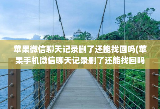 苹果微信聊天记录删了还能找回吗(苹果手机微信聊天记录删了还能找回吗 )