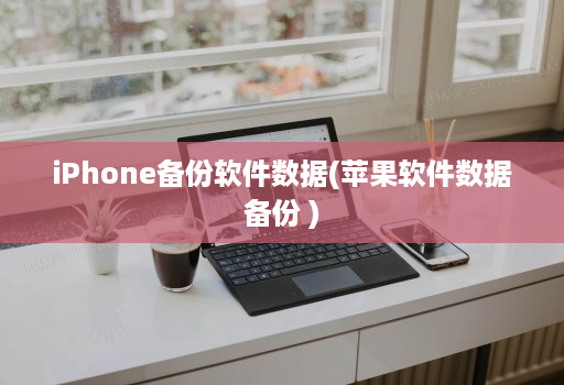 iPhone备份软件数据(<strong>苹果</strong>软件数据备份 )