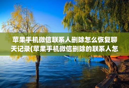 苹果手机微信联系人删除怎么恢复聊天记录(苹果手机微信删除的联系人怎么恢复 )