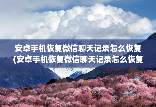 安卓手机恢复微信聊天记录怎么恢复(安卓手机恢复微信聊天记录怎么恢复到手机 )