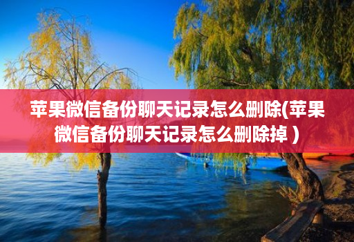 苹果微信备份聊天记录怎么删除(苹果微信备份聊天记录怎么删除掉 )