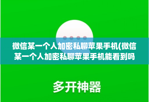 微信某一个人加密私聊苹果手机(微信某一个人加密私聊苹果手机能看到吗 )