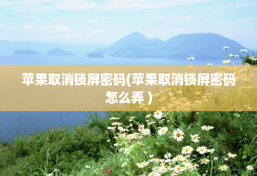 苹果取消锁屏密码(苹果取消锁屏密码怎么弄 )